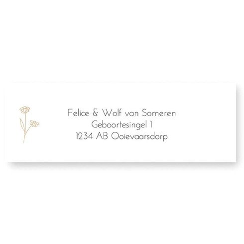 Adresetiket madeliefje