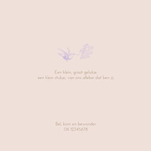 kaart binnenzijde links