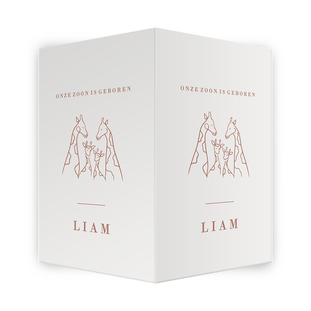 Geboortebord giraffen - Liam
