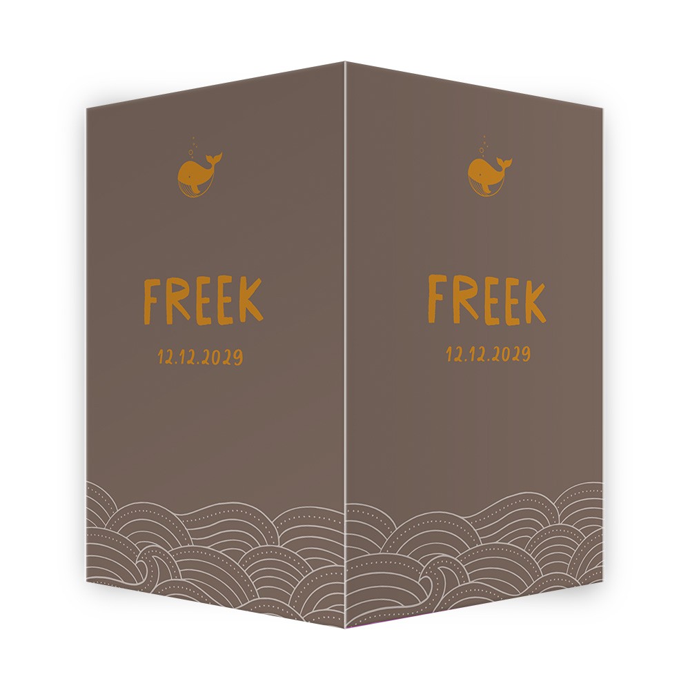 Geboortebord Freek walvis - 50x70