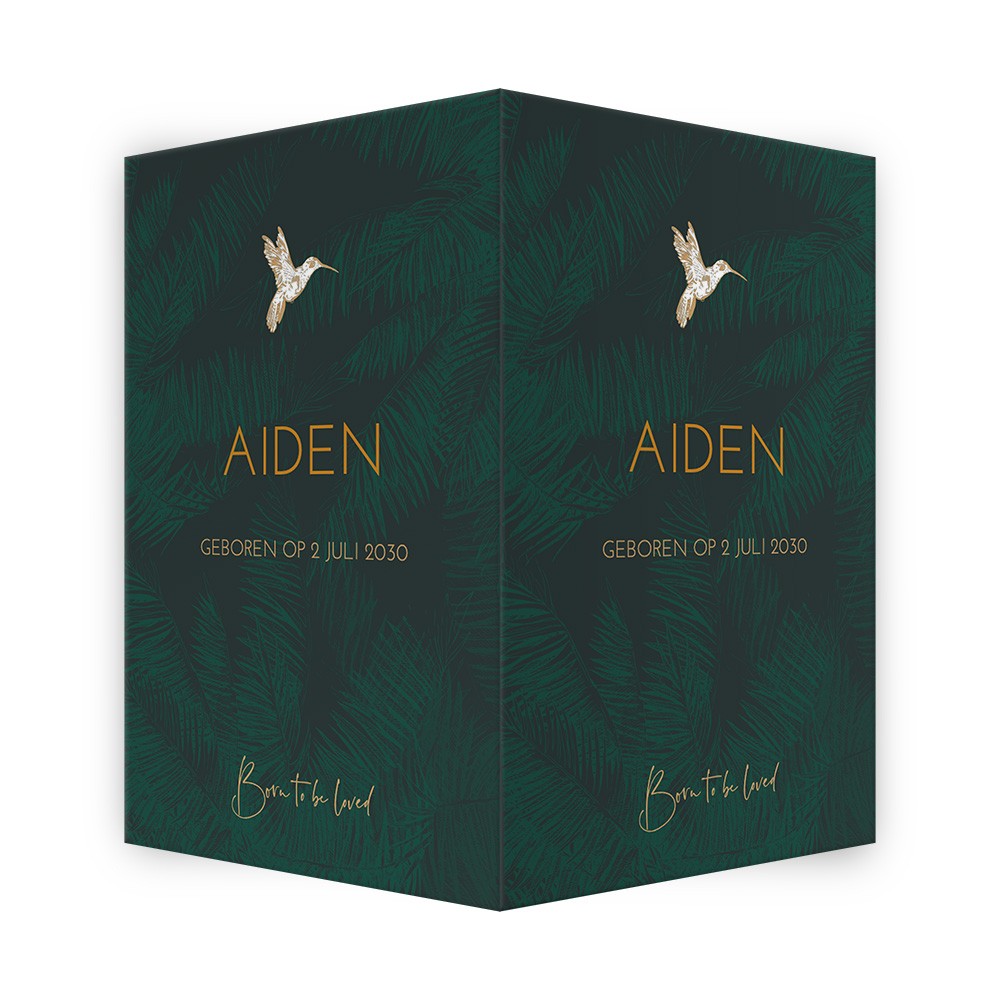 Geboortebord Aiden jungle - 50x70