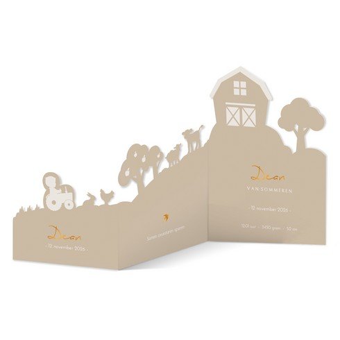 Bijzonder geboortekaartje met boerderij en dieren skyline - Dean