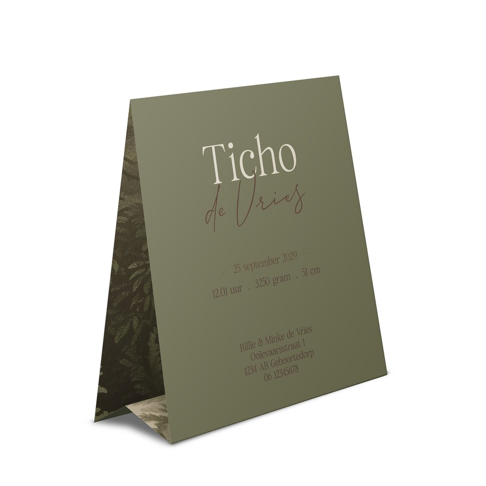 Geboortekaartje jongen met jungle en doorkijk tijger in bijzondere tentvorm - Ticho