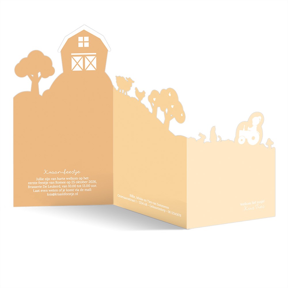 Geboortekaartje meisje in een groot 3d met boerderij thema met dieren - Romee