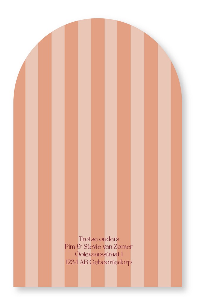 Geboortekaartje meisje met trendy strepen in aardetinten met bijzondere vorm - Lies