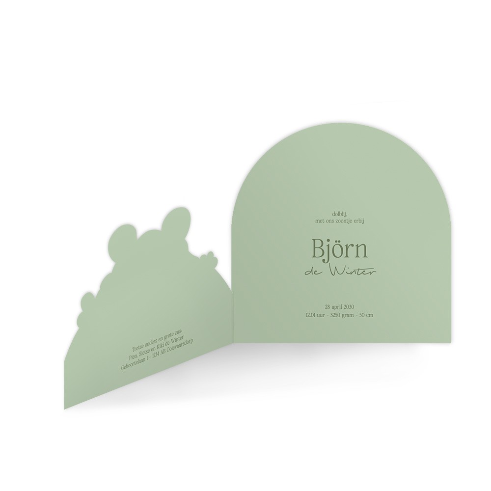 Geboortekaartje jongen met twee grote broers in een unieke 3d vorm met trendy kleur - Björn