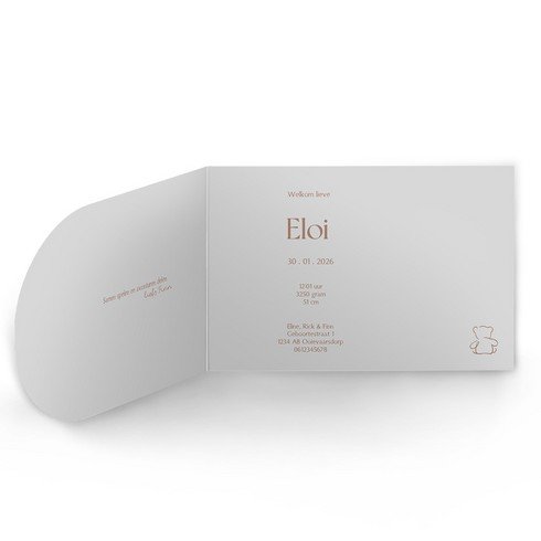 Geboortekaartje jongen met zilverfolie en beer in originele vorm - Eloi