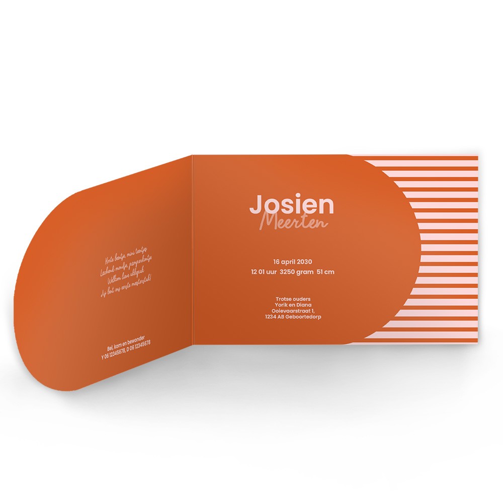 Geboortekaartje meisje met vrolijke strepen, lieve dieren en glimmend hoogglans - Josien