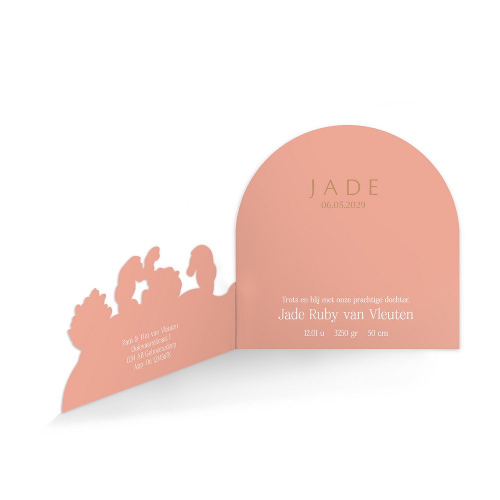 Geboortekaartje meisje met zeepaardjes in een onderwaterwereld met bijzondere 3D vorm - Jade