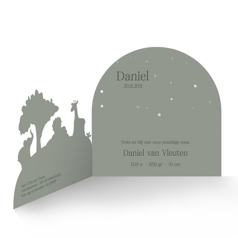 Geboortekaartje jongen 3d jungle dieren met leeuw in stoer groen - Daniel