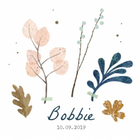 Geboortekaartje Bobbie - SV