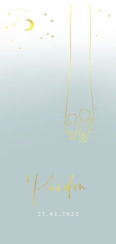 Geboortekaartje jongen broertjes schommel sterren en maan - Paiden
