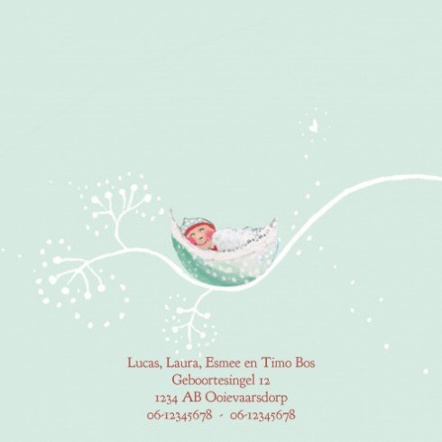 kaart binnenzijde links