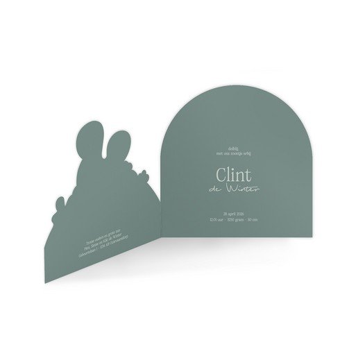 Jongen geboortekaartje met unieke 3D vorm in stoere groene tinten met grote broer -Clint