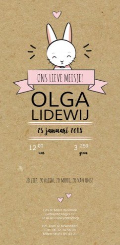 Geboortekaartje DIY konijntje - Olga GB