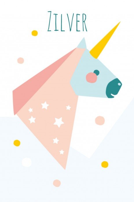 Geboortekaartje eenhoorn Zilver - HK