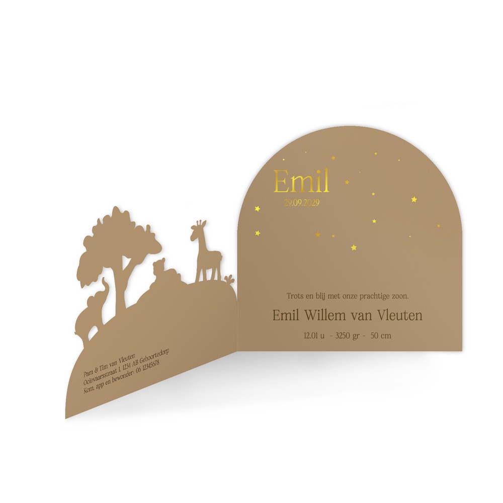 Geboortekaartje jongen 3d met jungle dieren met stoere kleuren en goudfolie - Emil