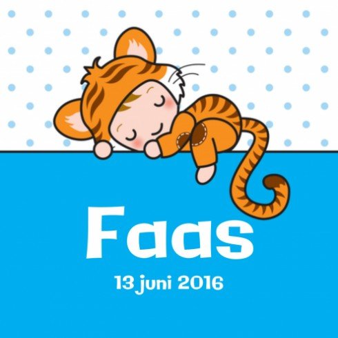 Geboortekaartje Faas - Gb