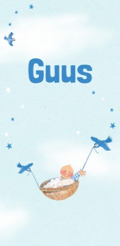Geboortekaartje Guus met zus en broertje - EB