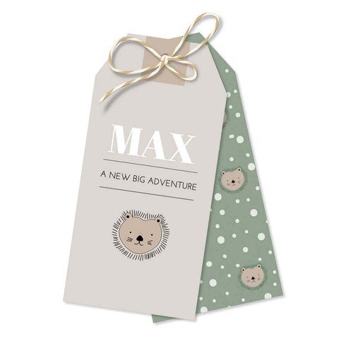 Geboortekaartje labels Leeuwtje - Max - Groen