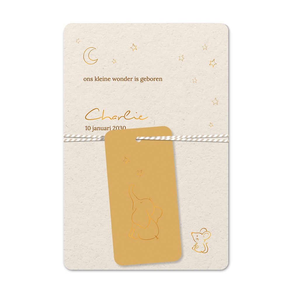 Geboortekaartje met labeltje olifant muis maan sterren - Charlie