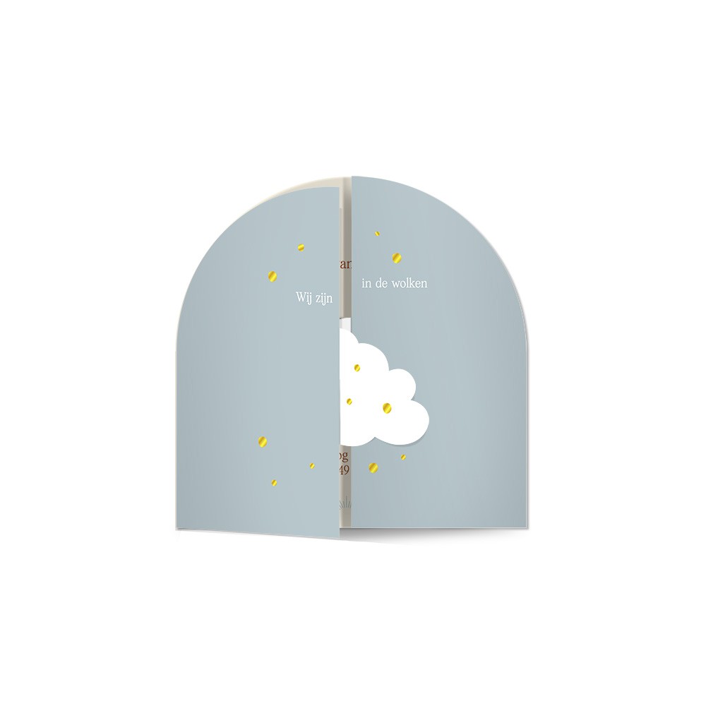 Unisex geboortekaartje met bijzondere wolkorm en goudfolie - Skye