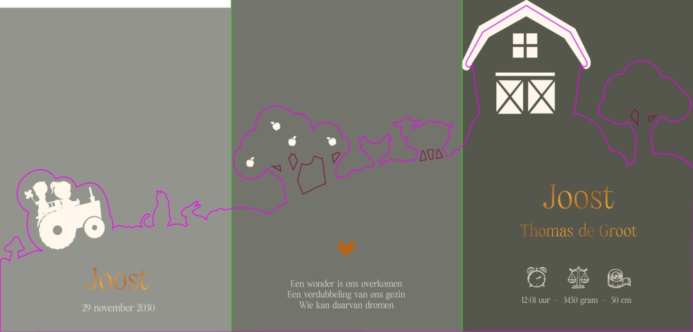 Geboortekaartje jongen met grote zus in uniek 3d boerderij thema - Joost