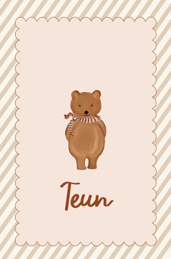 Geboortekaartje jongen lief beertje klassiek en trendy - Teun