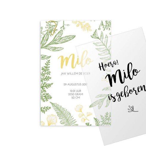 Geboortekaartje Milo - hoofdkaart