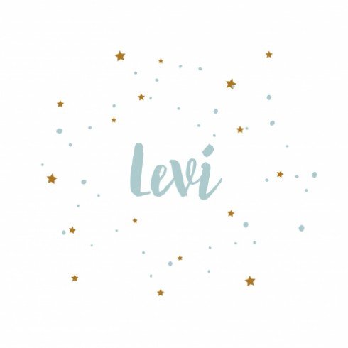 Geboortekaartje Levi - DIY
