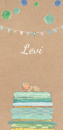 Geboortekaartje Levi met zus en broertje- EB