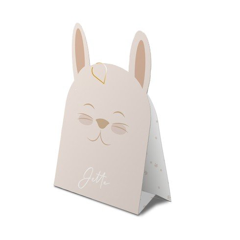 Geboortekaartje meisje in bijzondere vorm met konijn en konijnen gezichtje - Jette