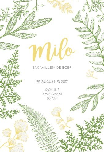 Geboortekaartje Milo - hoofdkaart