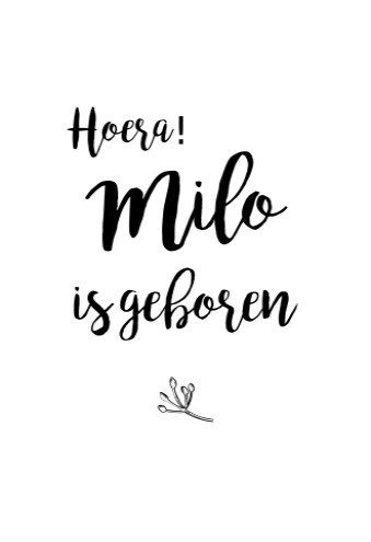 Geboortekaartje met kalkpapier en takjes - Milo