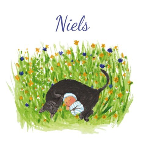 Geboortekaartje Niels - EB