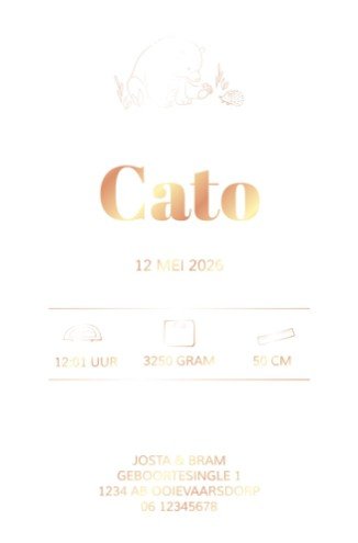 Geboortekaartje op kalkpapier met lieve beer - Cato