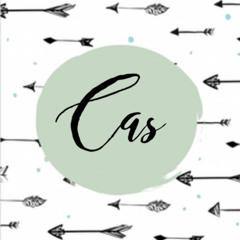 Geboortekaartje pijlen Cas dubbel - ZZ