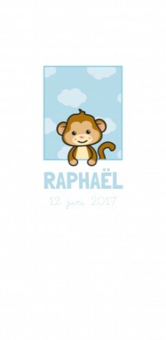 Geboortekaartje Raphael - GB