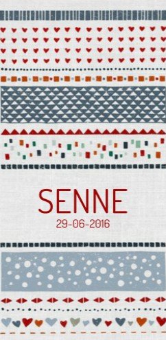 Geboortekaartje Senne - Dits en Dots