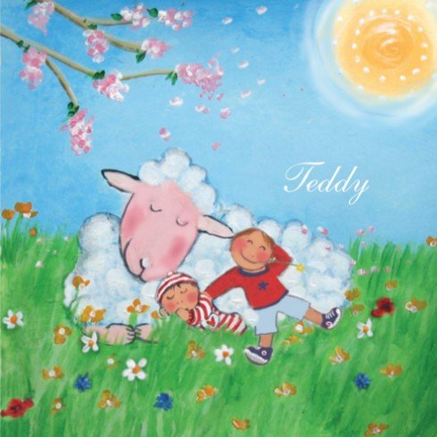 Geboortekaartje Teddy met broer - EB