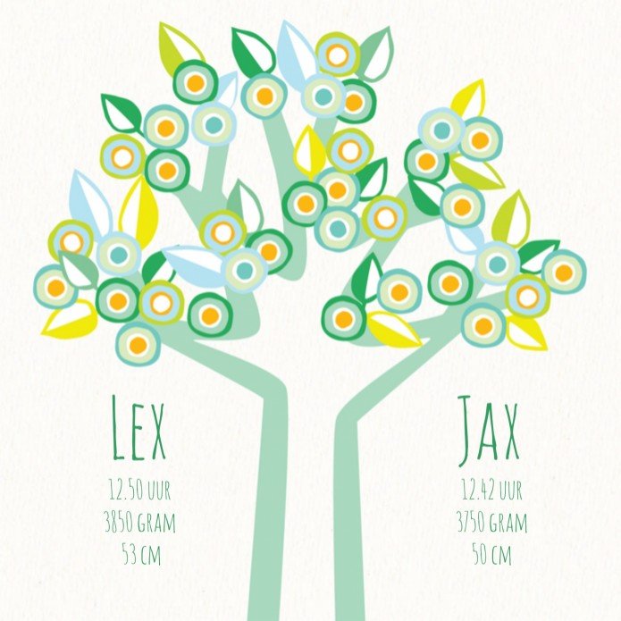 kaart binnenzijde midden