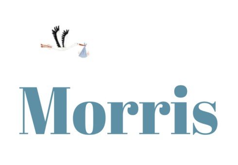 Geboortekaartje typografisch met ooievaar - Morris
