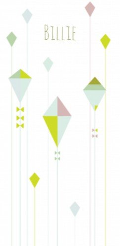 Geboortekaartje - vlieger - Billie HK