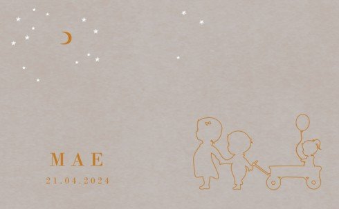 Geboortekaartje zusje silhouetje 3 kindjes - Mae