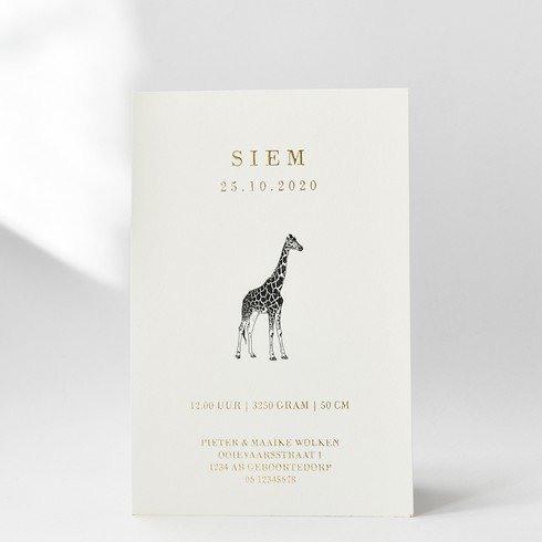 Klassiek geboortekaartje met giraf en goudfolie - Siem