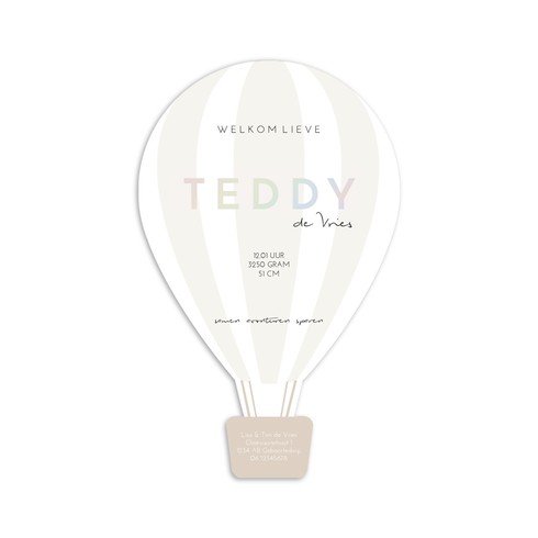 Geboortekaartje luchtballon vorm en regenboog folie - Teddy