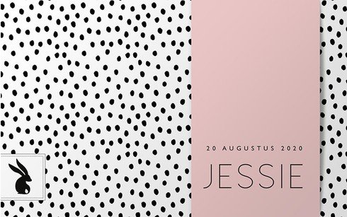 Geboortekaartje Dots Jessie - MC