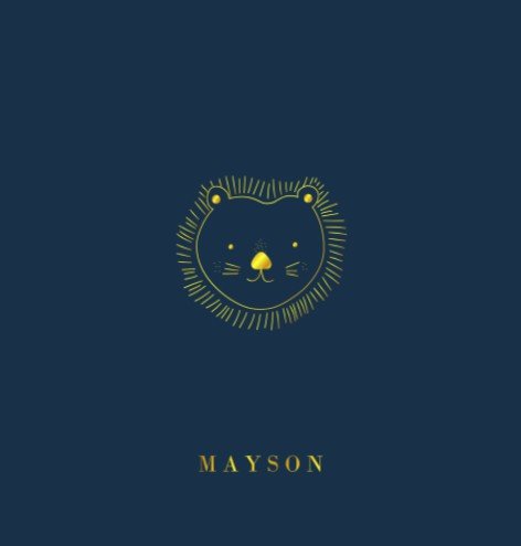 Jongens geboortekaartje met leeuwtje - Mayson
