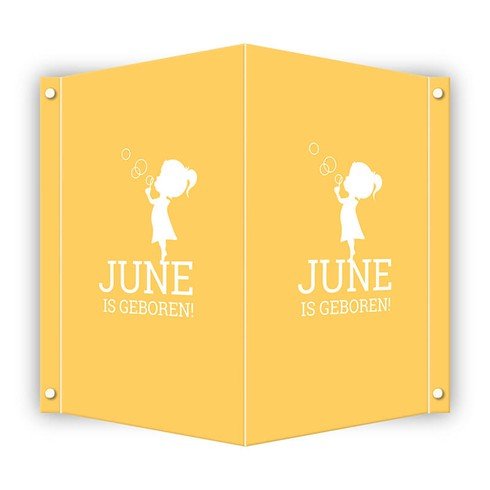 Geboortebord DIY - June
