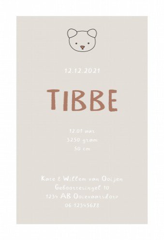 Stoer geboortekaartje met kader en beertje - Tibbe